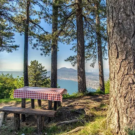 Bed & Breakfast Sant'angelo Al Belvedere